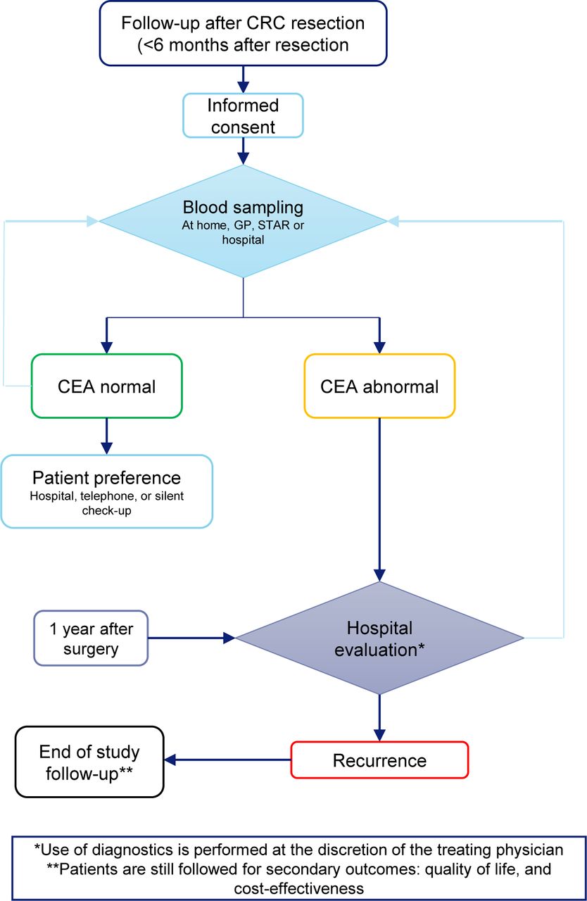 Patient-led home-based follow-up after surgery for colorectal cancer ...