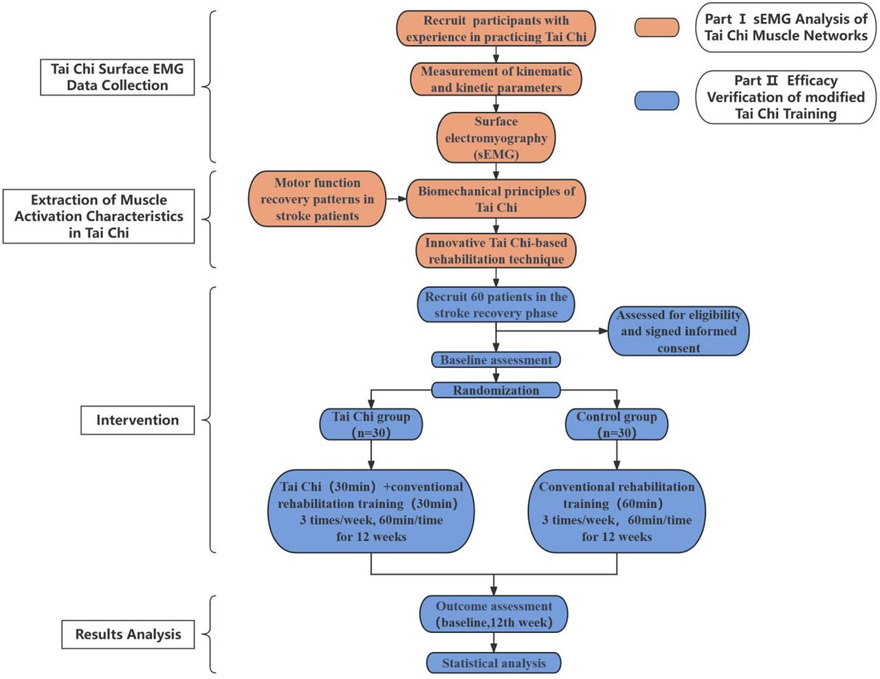 Modified tai chi movement training based on sEMG and movement analysis ...